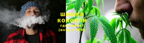 кокс Нея