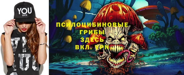 кокс Нея