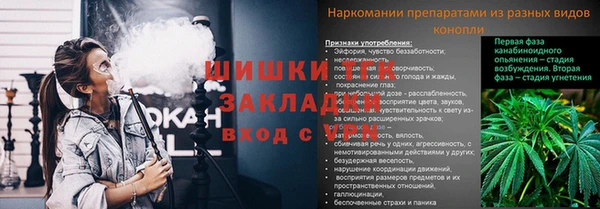 кокс Нея