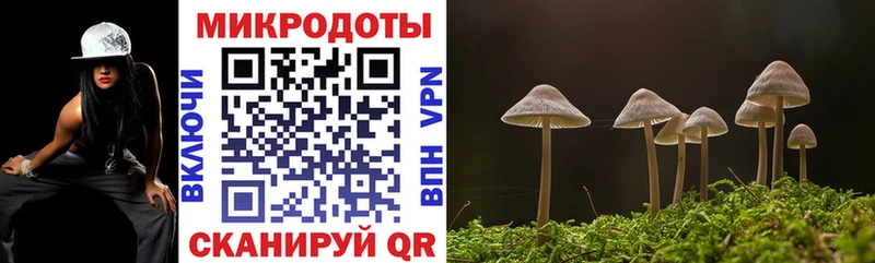 Галлюциногенные грибы Psilocybe Новое Девяткино