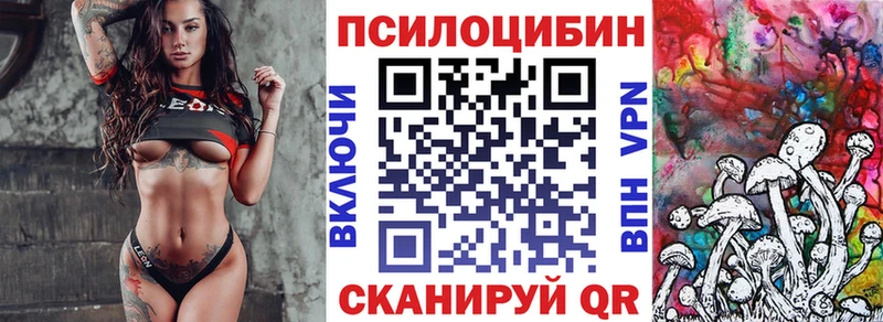 Псилоцибиновые грибы Cubensis  наркота  Новое Девяткино 